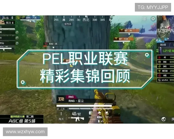 和平精英心理素质排行榜揭晓RNG战队荣登第4名引发热议